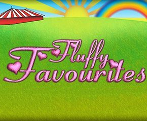 Fluffy Favourites